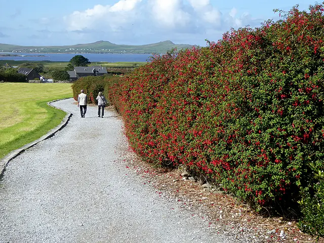 Screenshot 2024 11 27 at 10.51.59